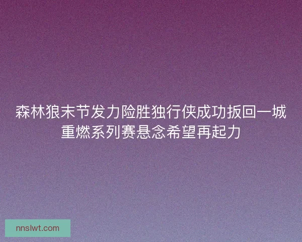 森林狼末节发力险胜独行侠成功扳回一城重燃系列赛悬念希望再起力